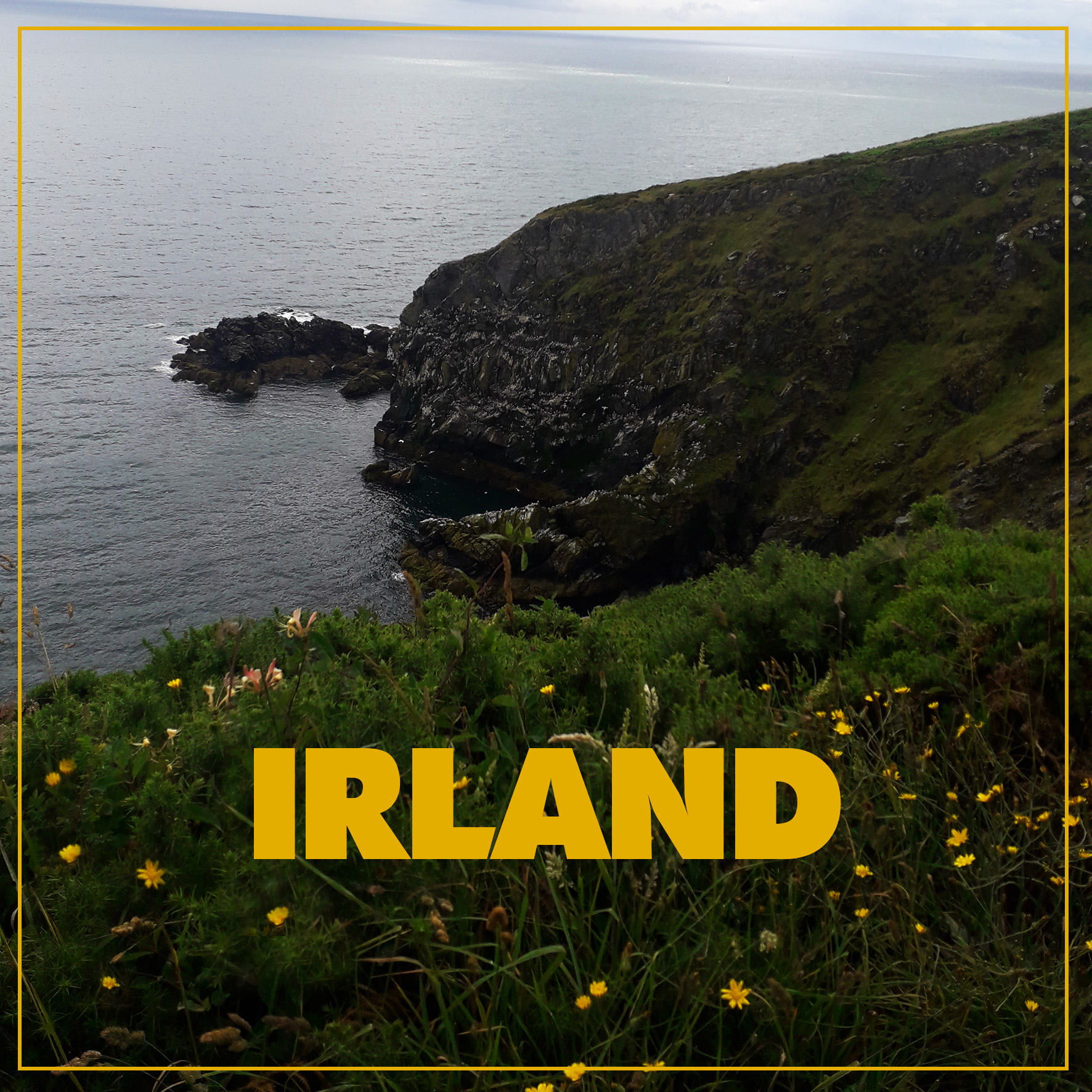 Klippen von Howth in Irland